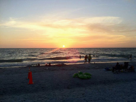 Dex -beach _web