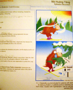Elizabeth -herb -cards _web