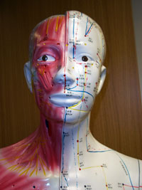 2012-01-30-acuman _head2