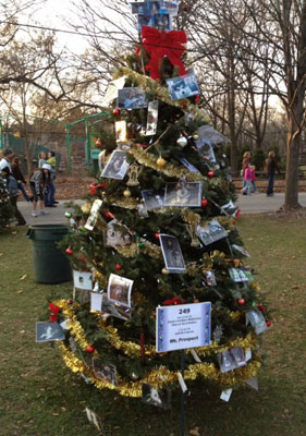 2012-11-26-tree _small
