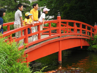 DCGrad DCGrad - Takeyachi family
