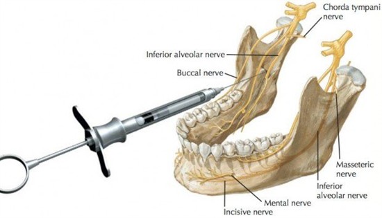 Mandibular foramen: Anatomy and contents