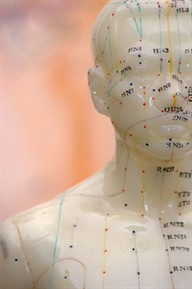 acupuncture meridian lines on male dummy