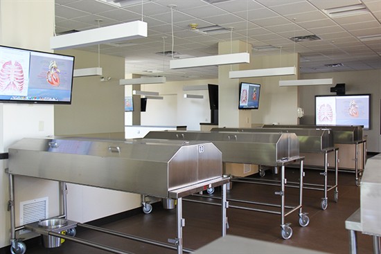 renovated anatomy lab