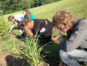 nd students working in botanical garden