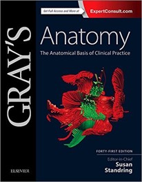 gray's anatomy cover