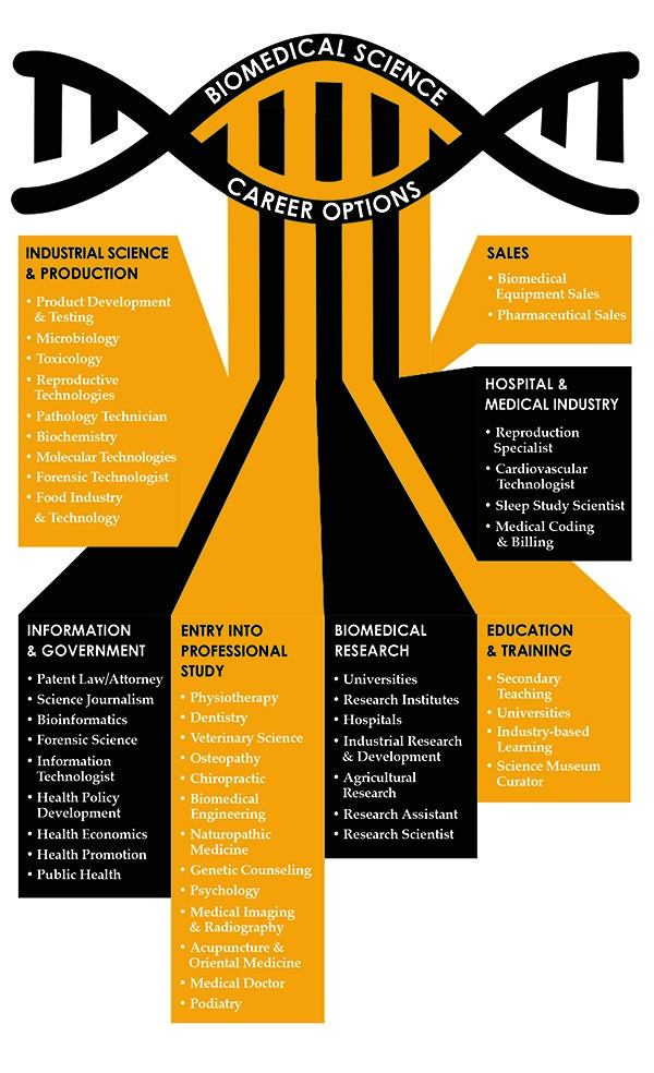 biomedical science career options chart