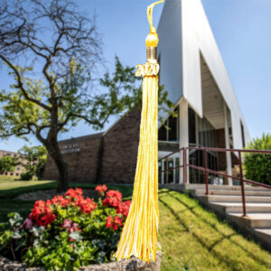 2020 graduation tassel in NUHS campus