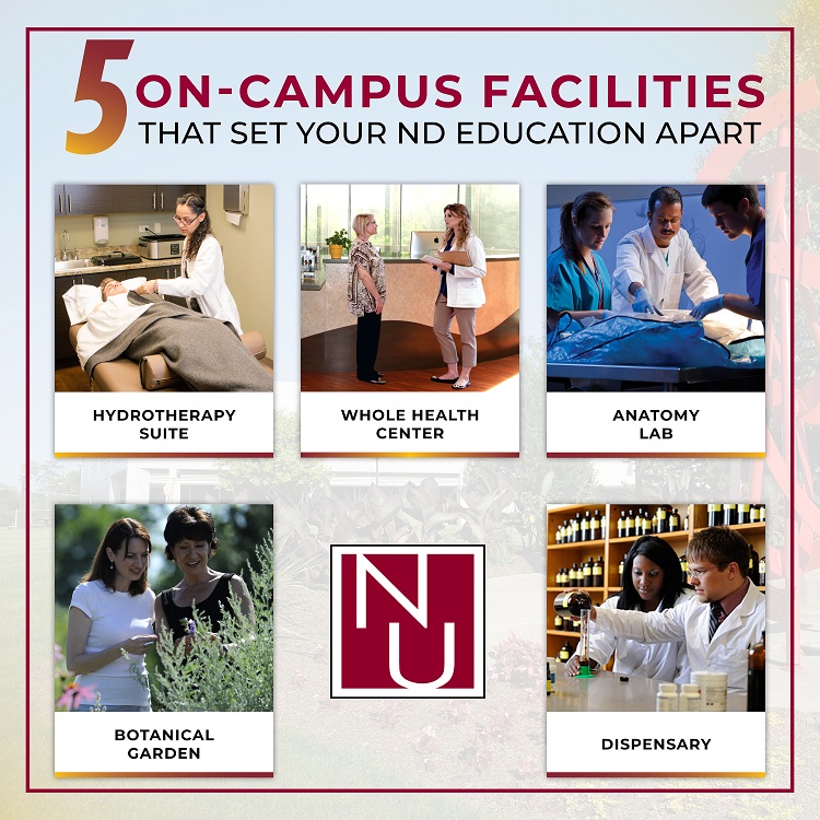 5_Campus_Facilities_Infographic