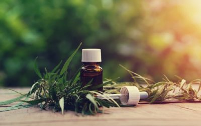 7 things you should know before you try CBD oil