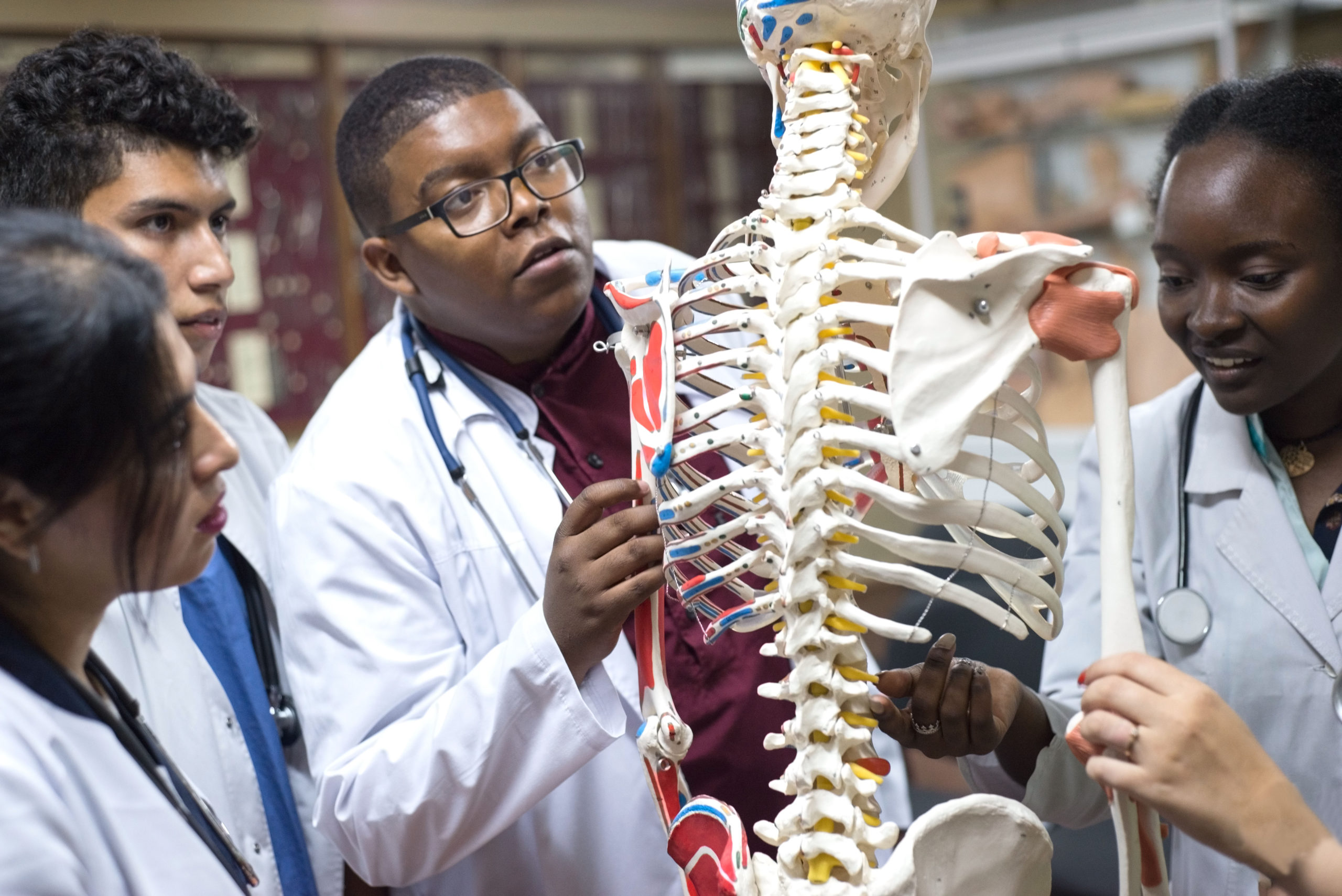 doctors of mixed race, of different sexes, in the study room, study human anatomy, on the skeleton. Young medical students at medical university