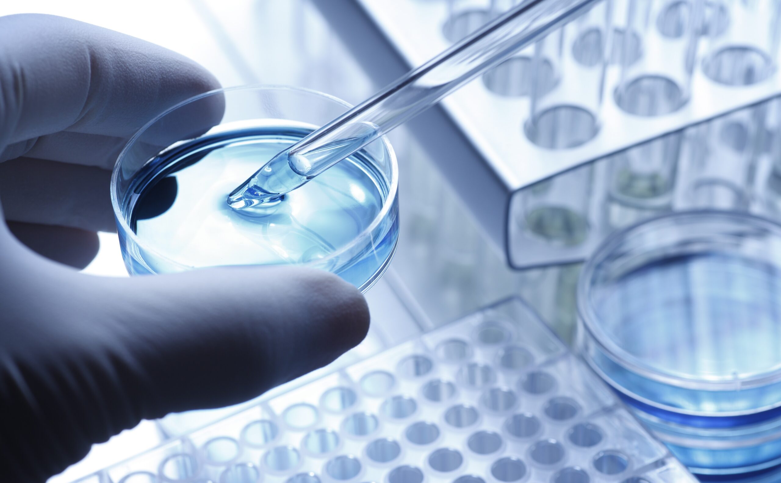 Gloved hand lab testing biological sample