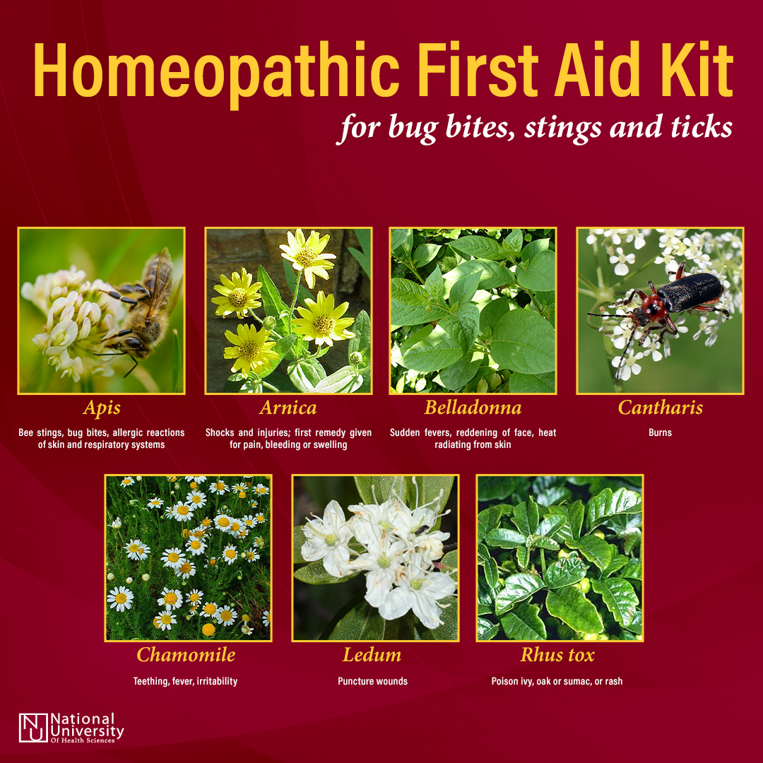 Homeopathic First Aid Kits-2022
