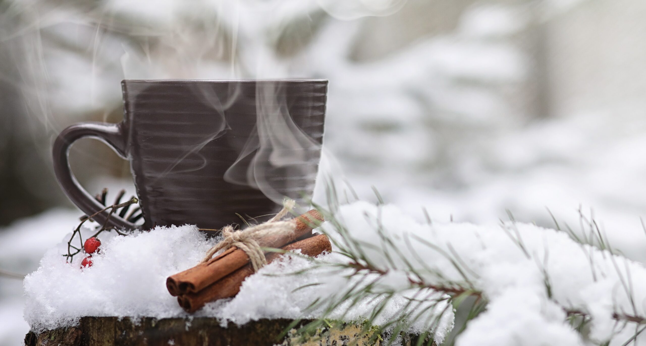 Hot teacup with cinnamon and snowy evergreen in background