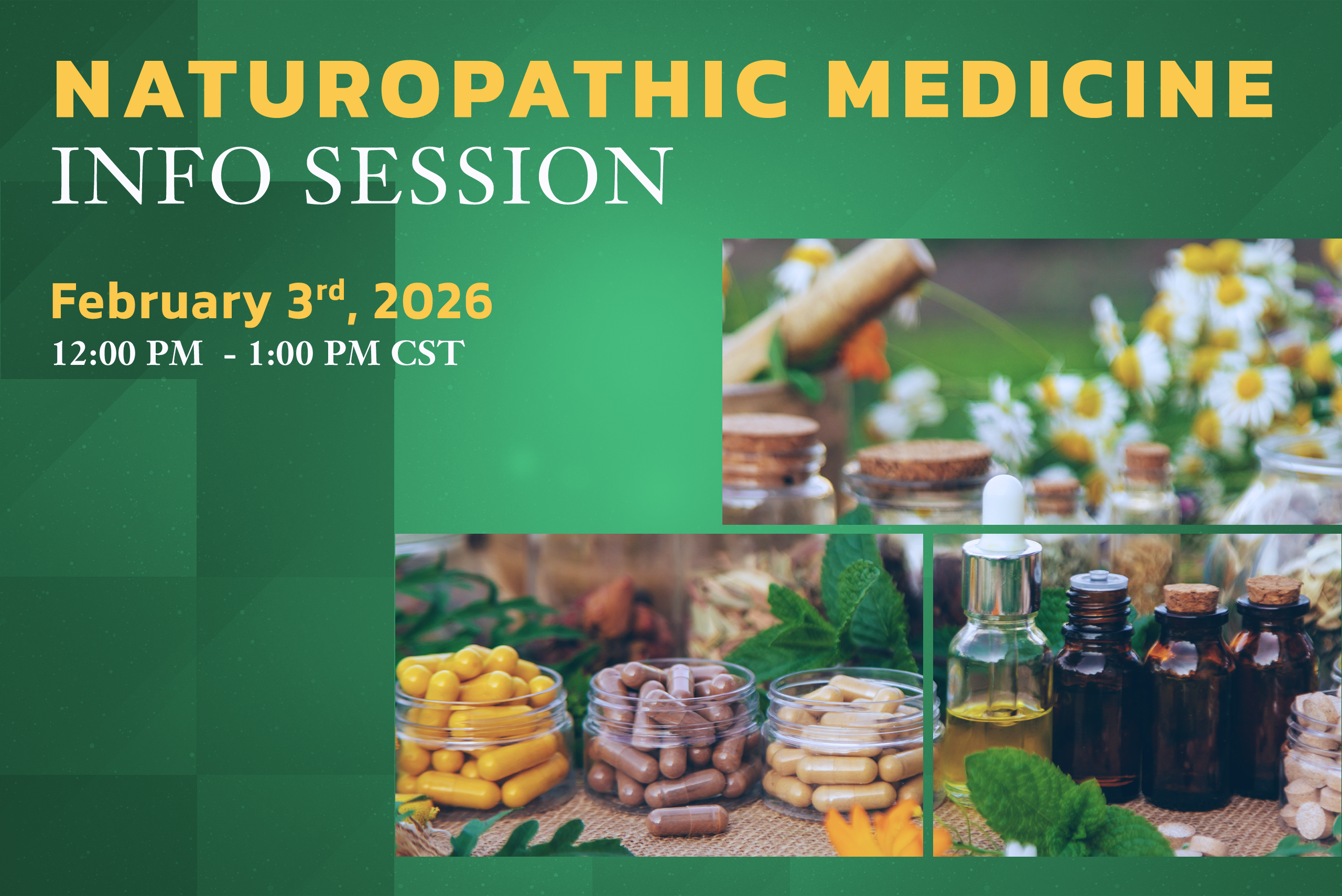 Naturopathic Medicine Information Session 2/3/2026