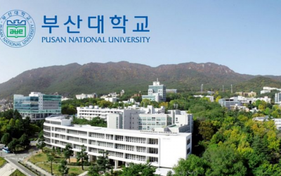 NUHS partners with Pusan University to offer certification program in Korean Medicine