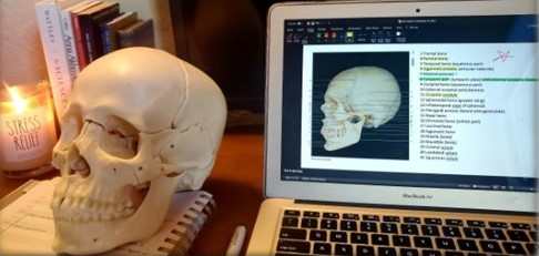 Skull Laptop