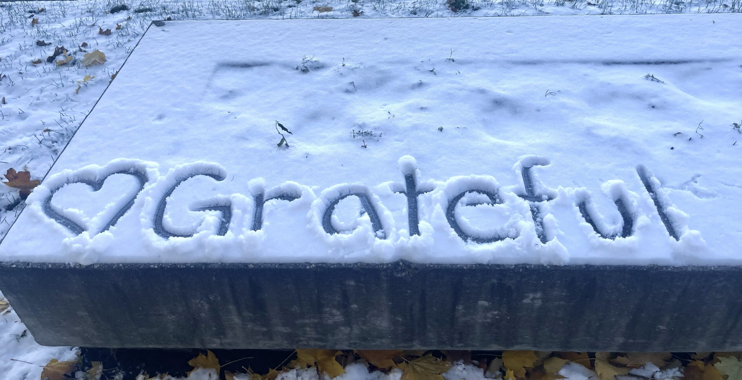 Snow covered bench displaying handwritten heart and the word Grateful