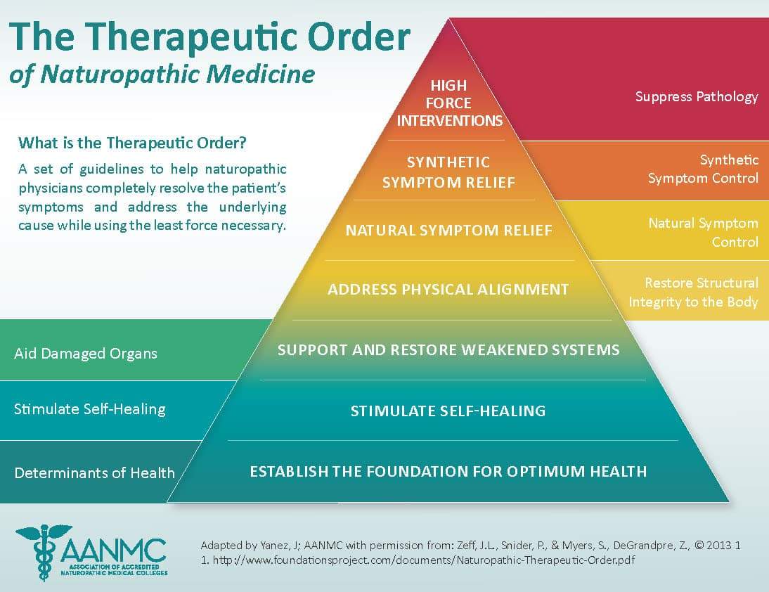 Therapeutic-Order-postcard_Page_1