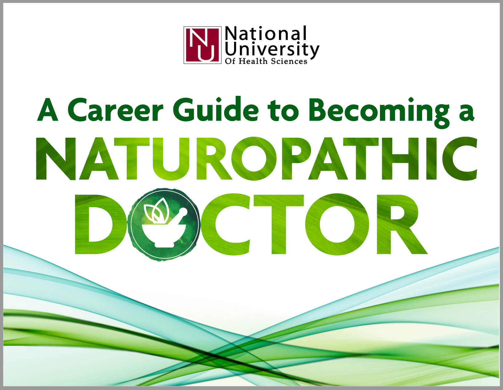 a career guide to naturopathic doctor cover