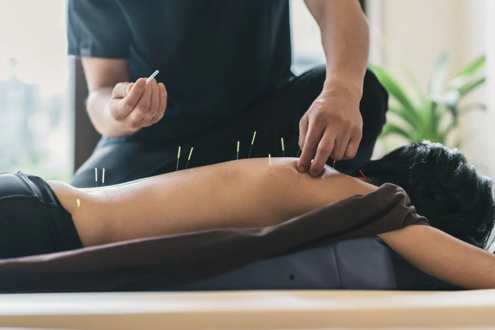 acupuncture medicine subscribe student blog
