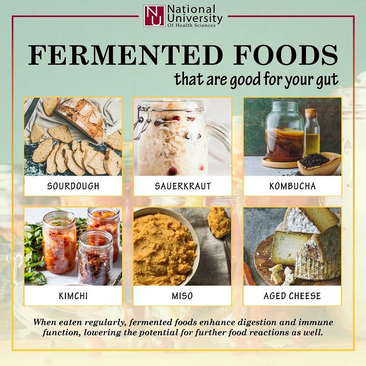 benefits of fermented sourdough bread