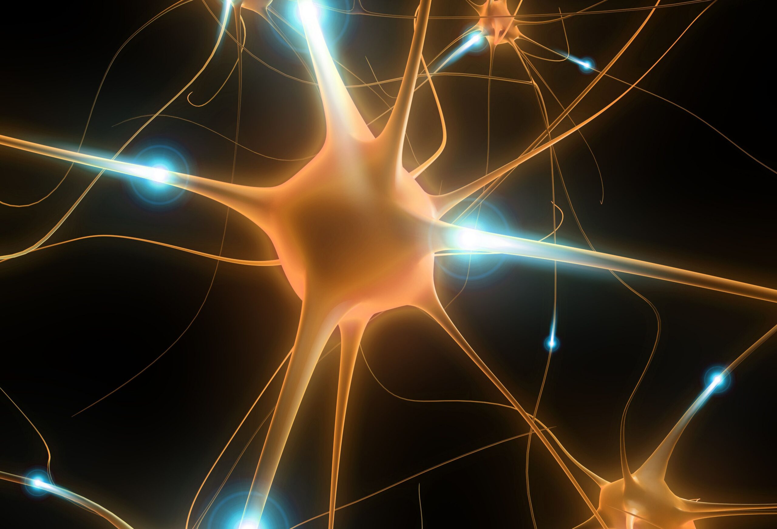 brain neuron showing axons and dendrites