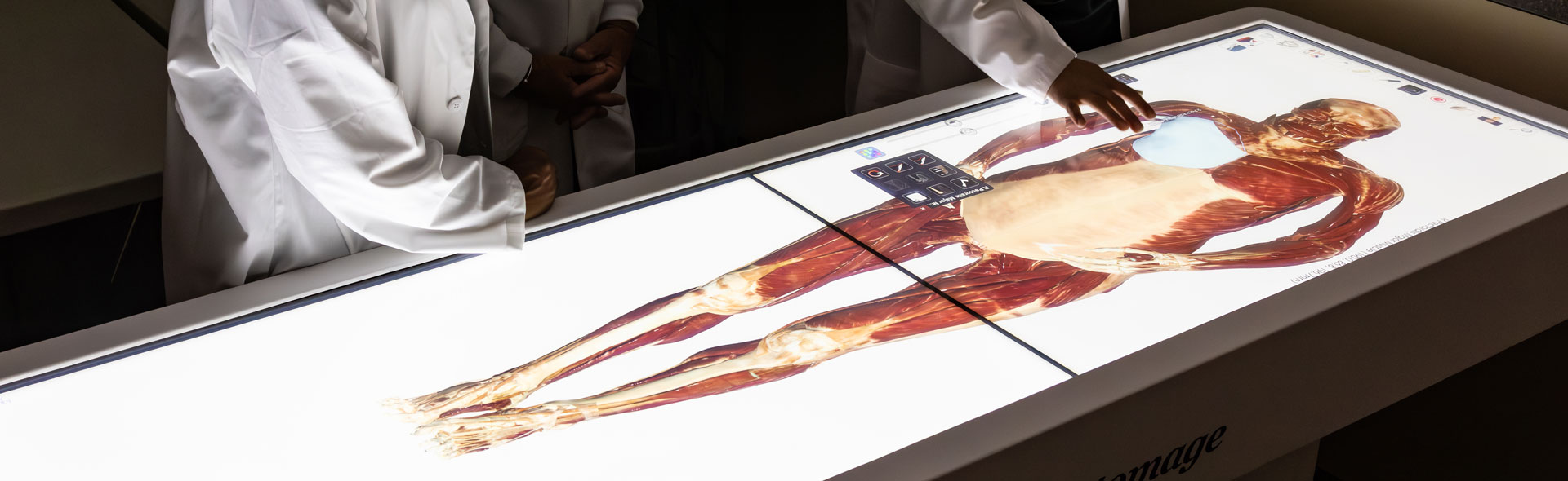 students working on anatomage table